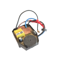 RUPES Electronic Speed Control Module for LHR21II. Модуль для керування швидкістю